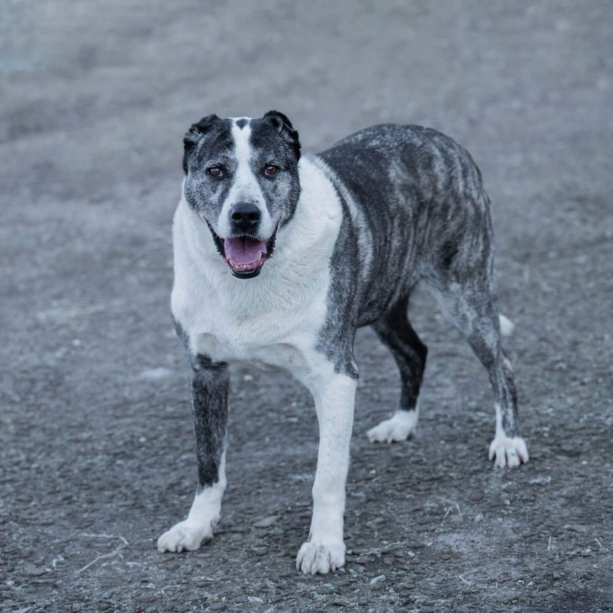 neue Fotos Januar 2026