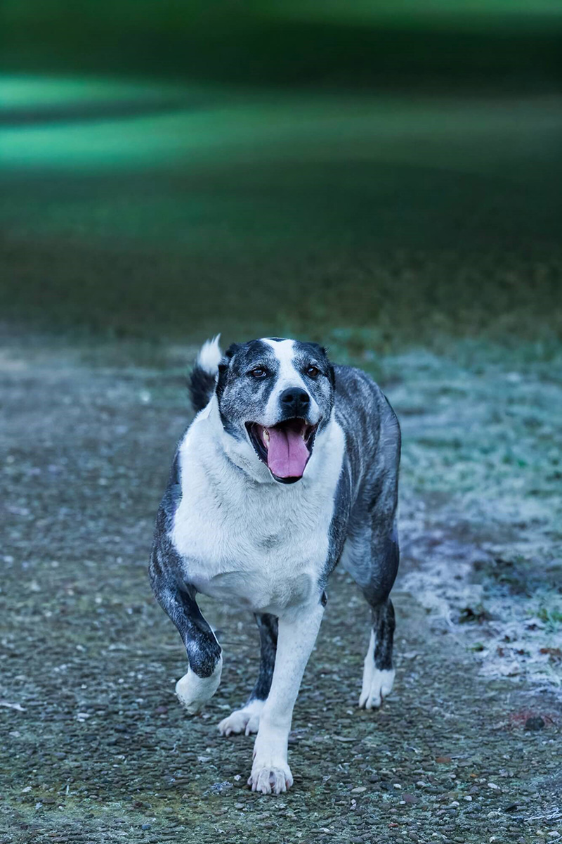 neue Fotos Januar 2026