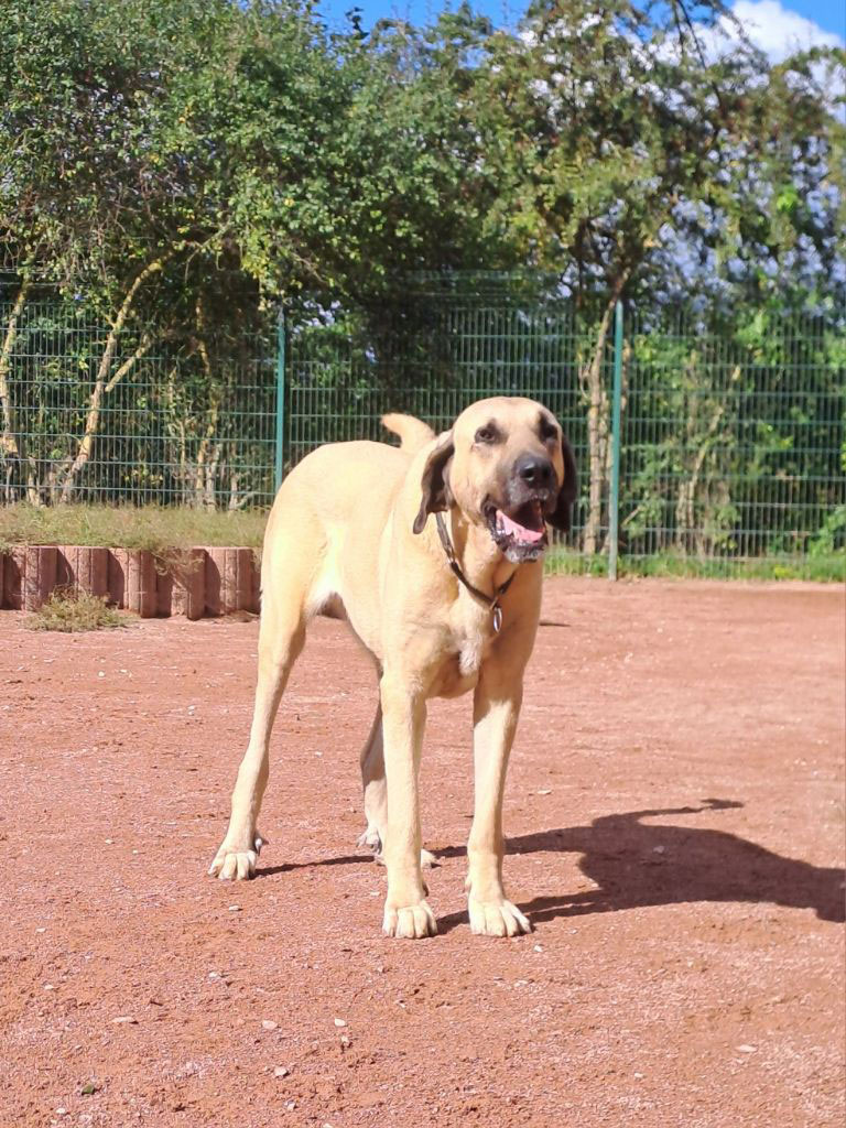 neues Foto Januar 2026