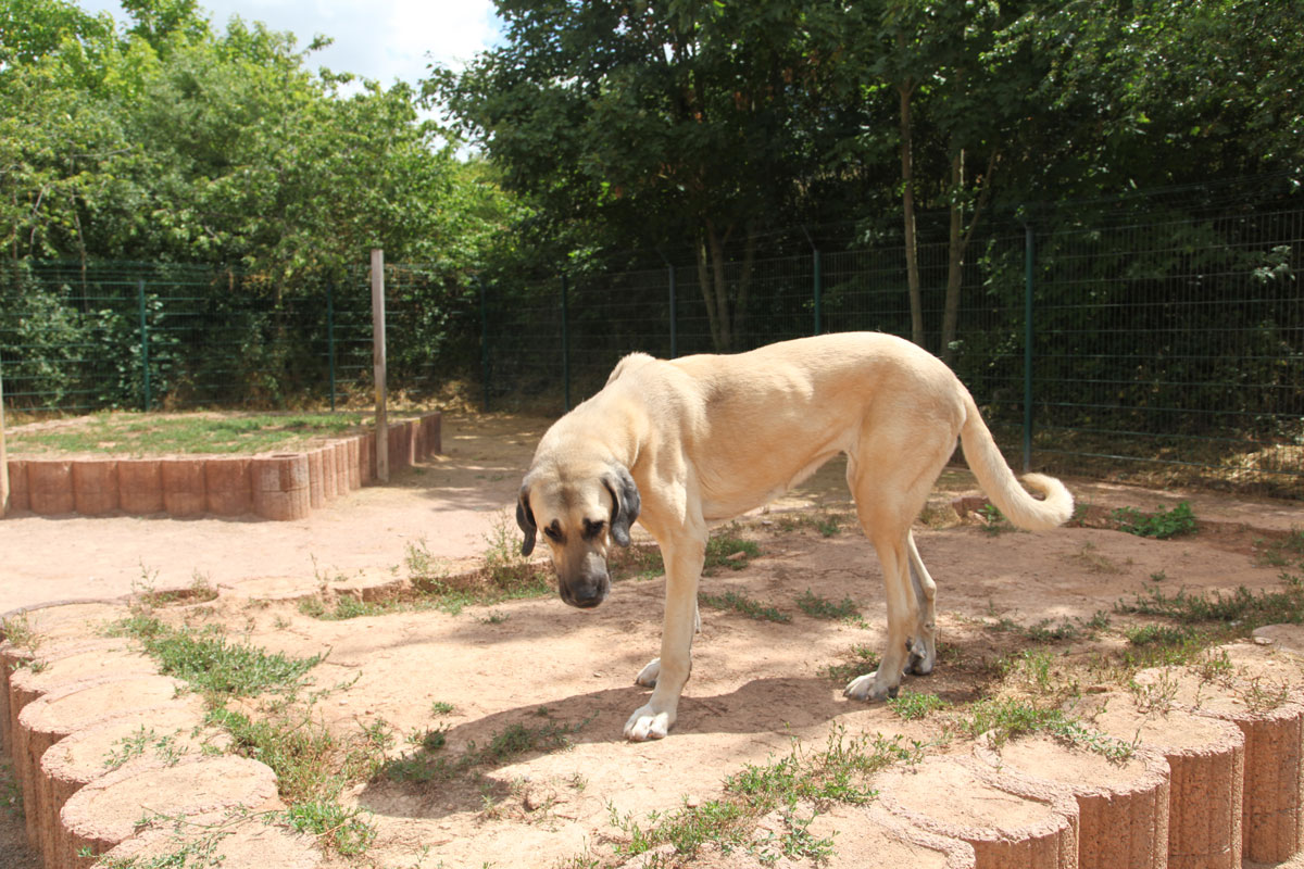 neues Foto Januar 2026