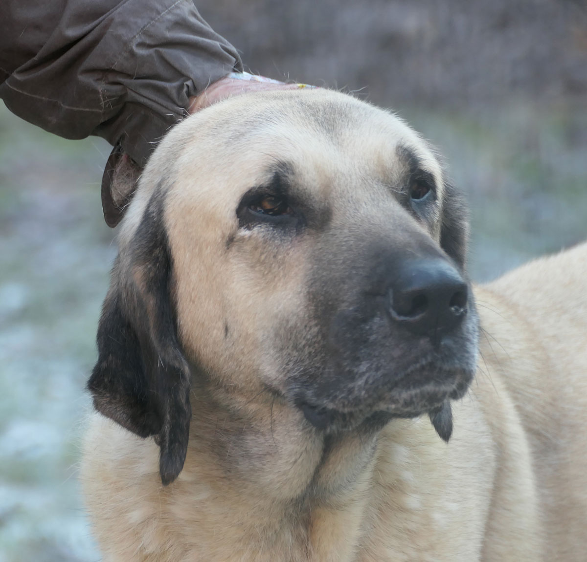 neues Foto Januar 2026