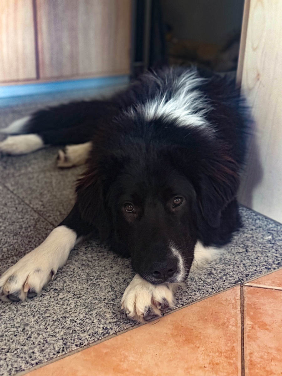 neues Foto Januar 2026