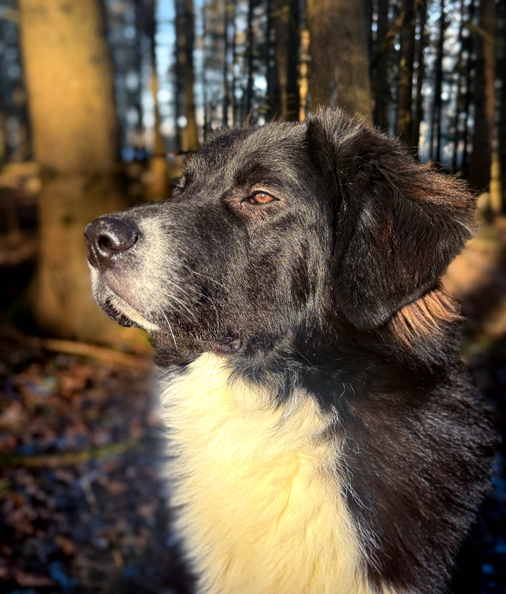 neues Foto Januar 2026