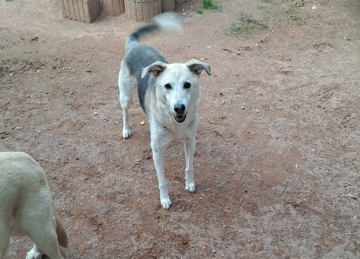 neues Foto Januar 2026