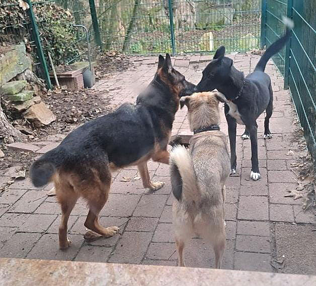 Bernadette noch  in der Quarantäne