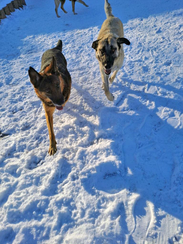 Bernadette und Little Bit