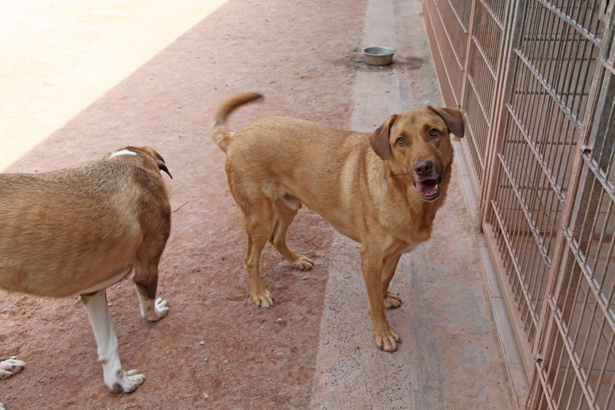 neues Foto Januar 2026