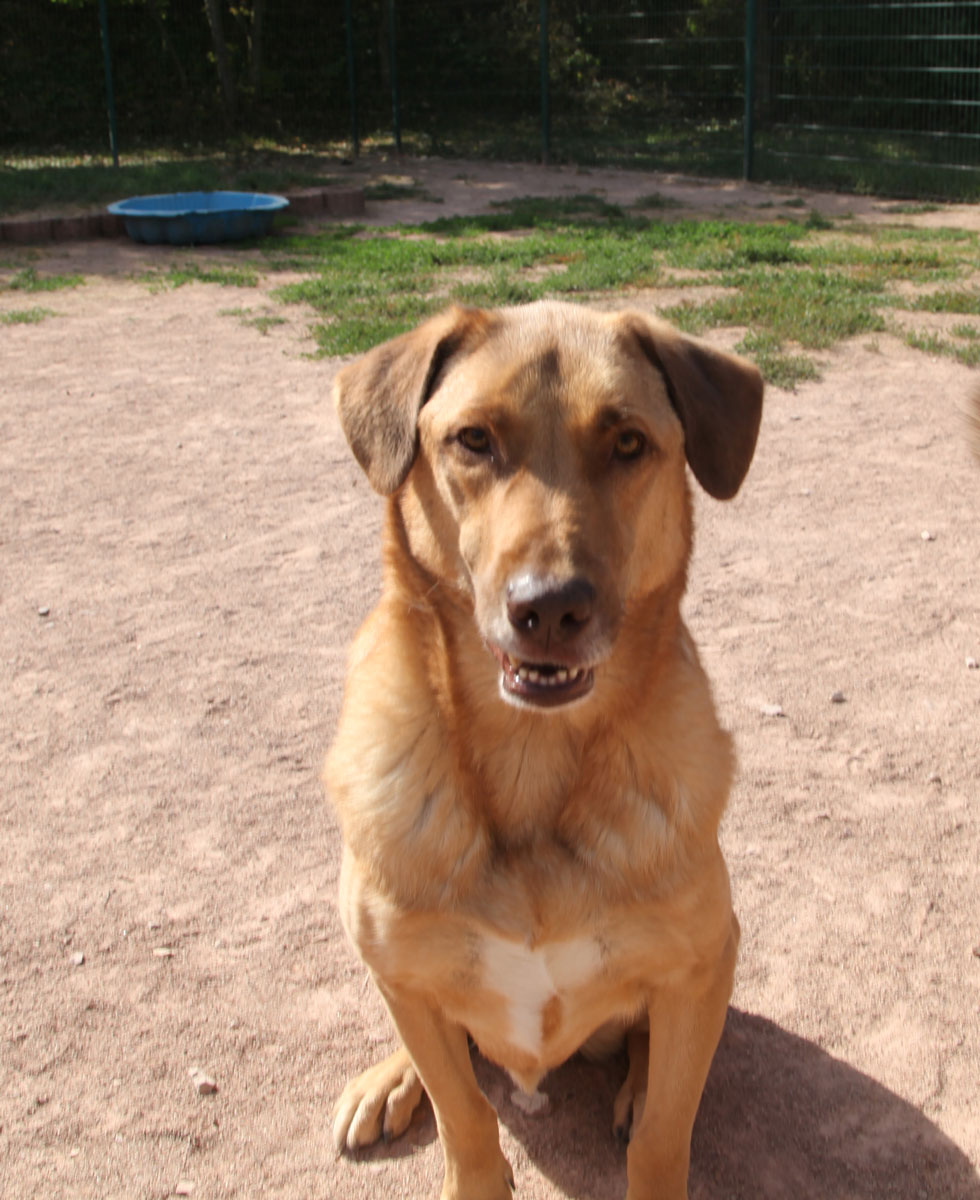 neues Foto Januar 2026