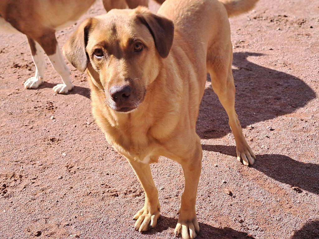 neues Foto Januar 2026