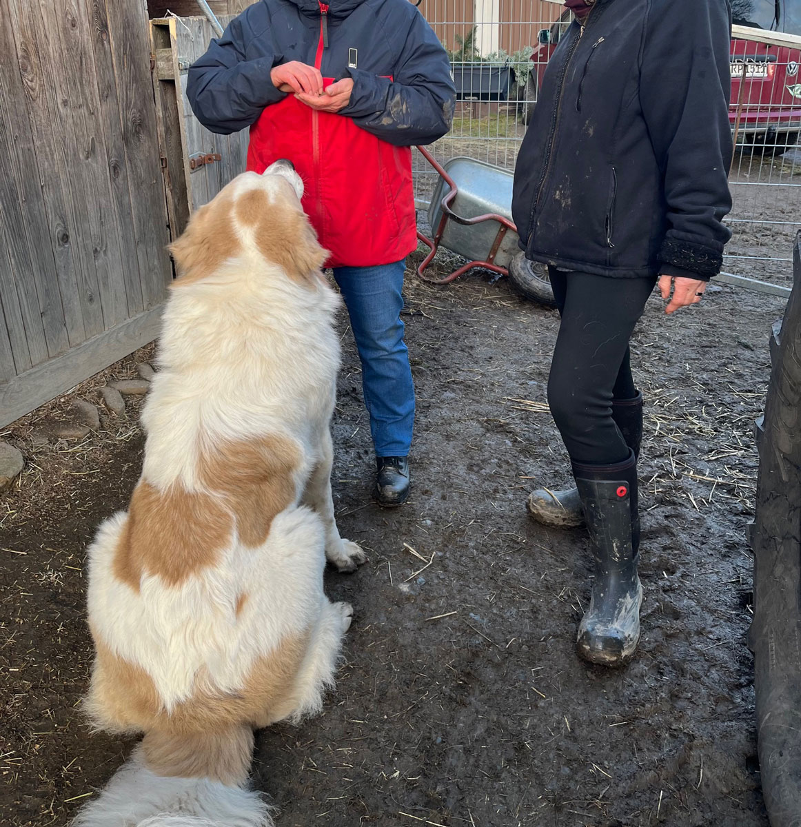 neues Foto Januar 2026