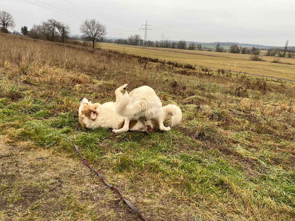 neues Foto Januar 2026