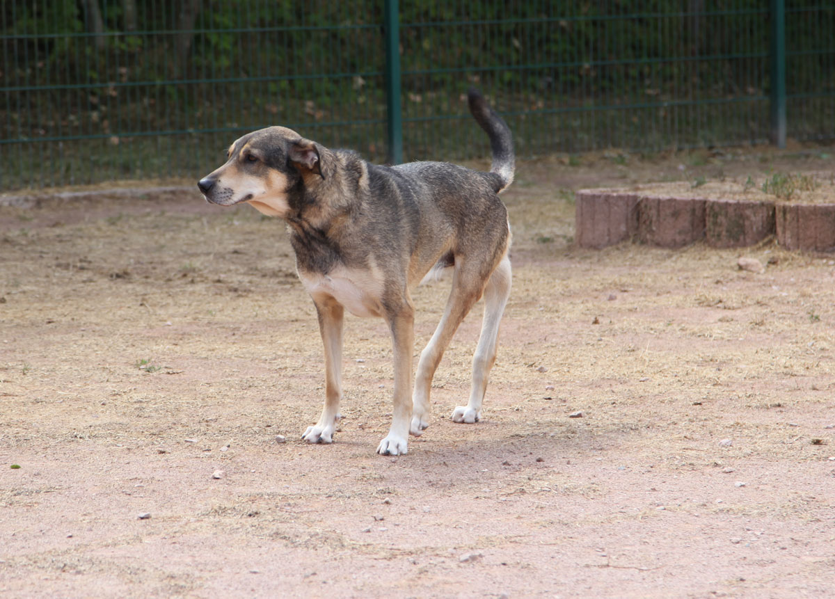 neues Foto Januar 2026