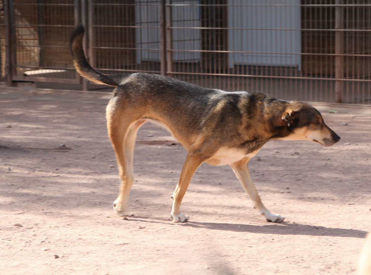 neues Foto Januar 2026