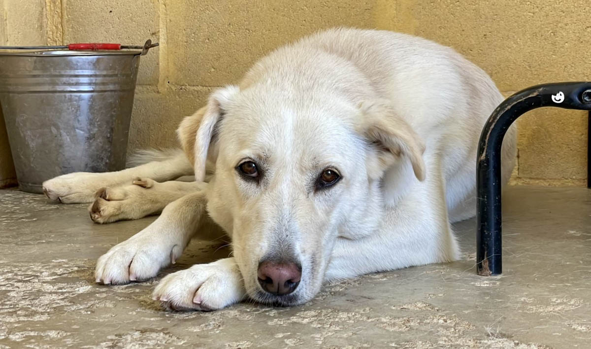 neue Fotos Januar 2026