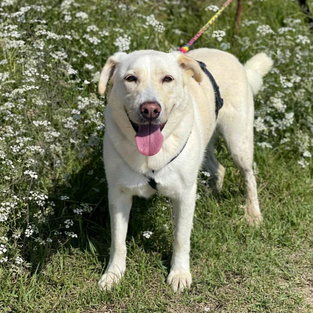 neue Fotos Januar 2026