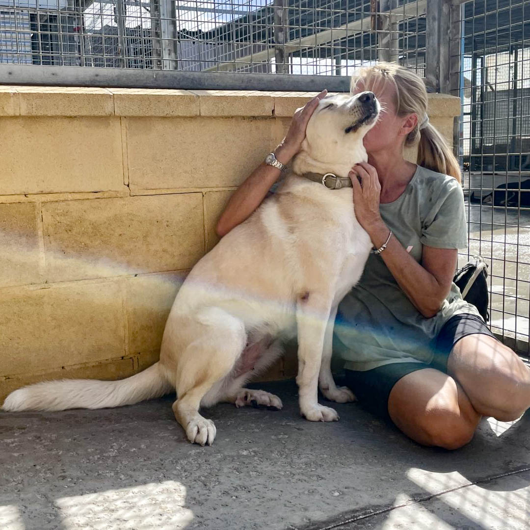 neue Fotos Januar 2026