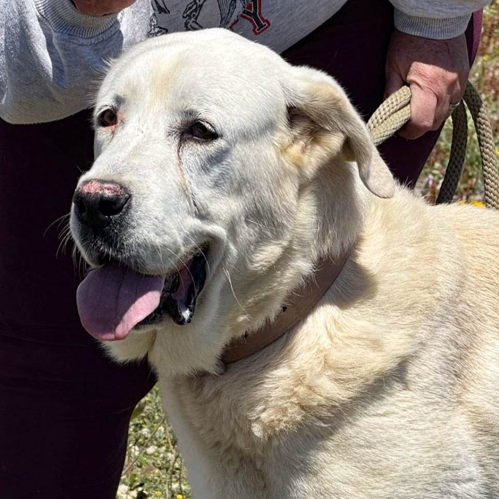 neue Fotos Januar 2026