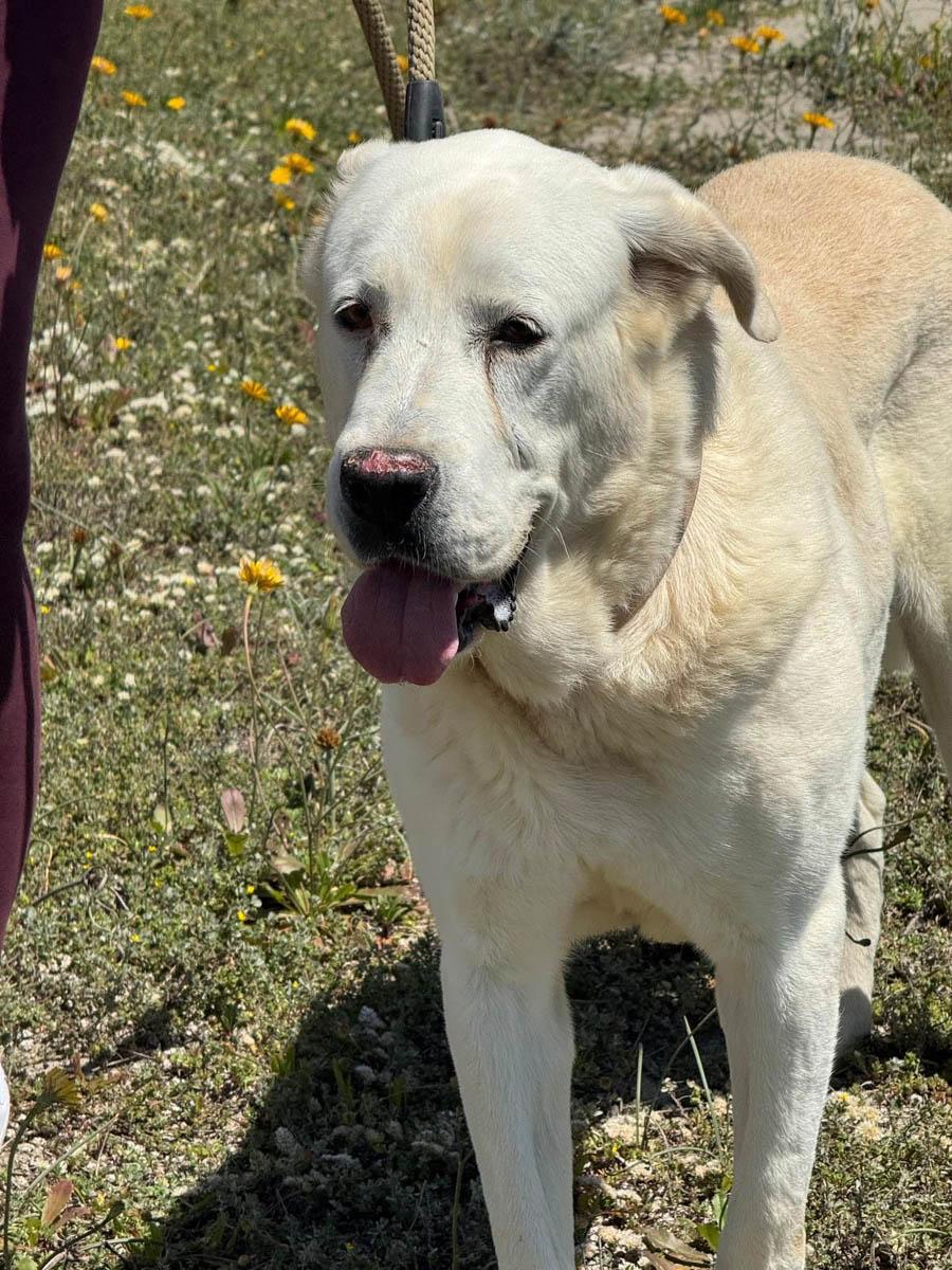 neue Fotos Januar 2026