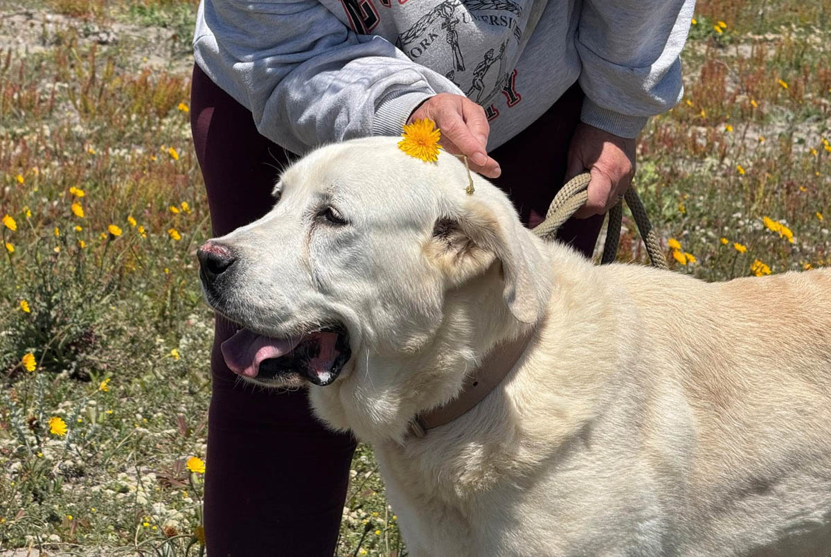 neue Fotos Januar 2026