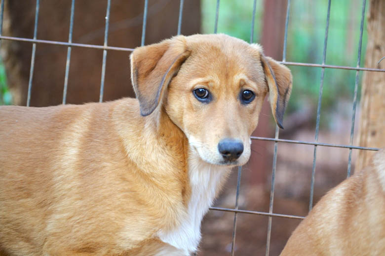 neue Fotos Februar 2026, Millie