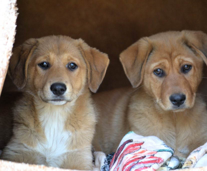 neue Fotos Februar 2026