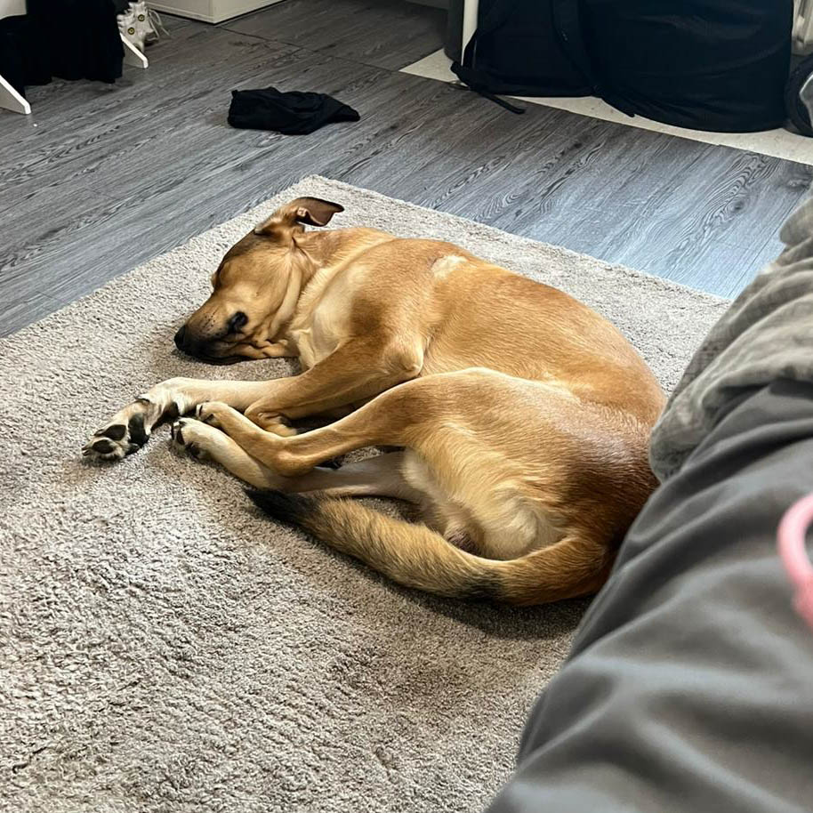 neue Fotos Februar 2026