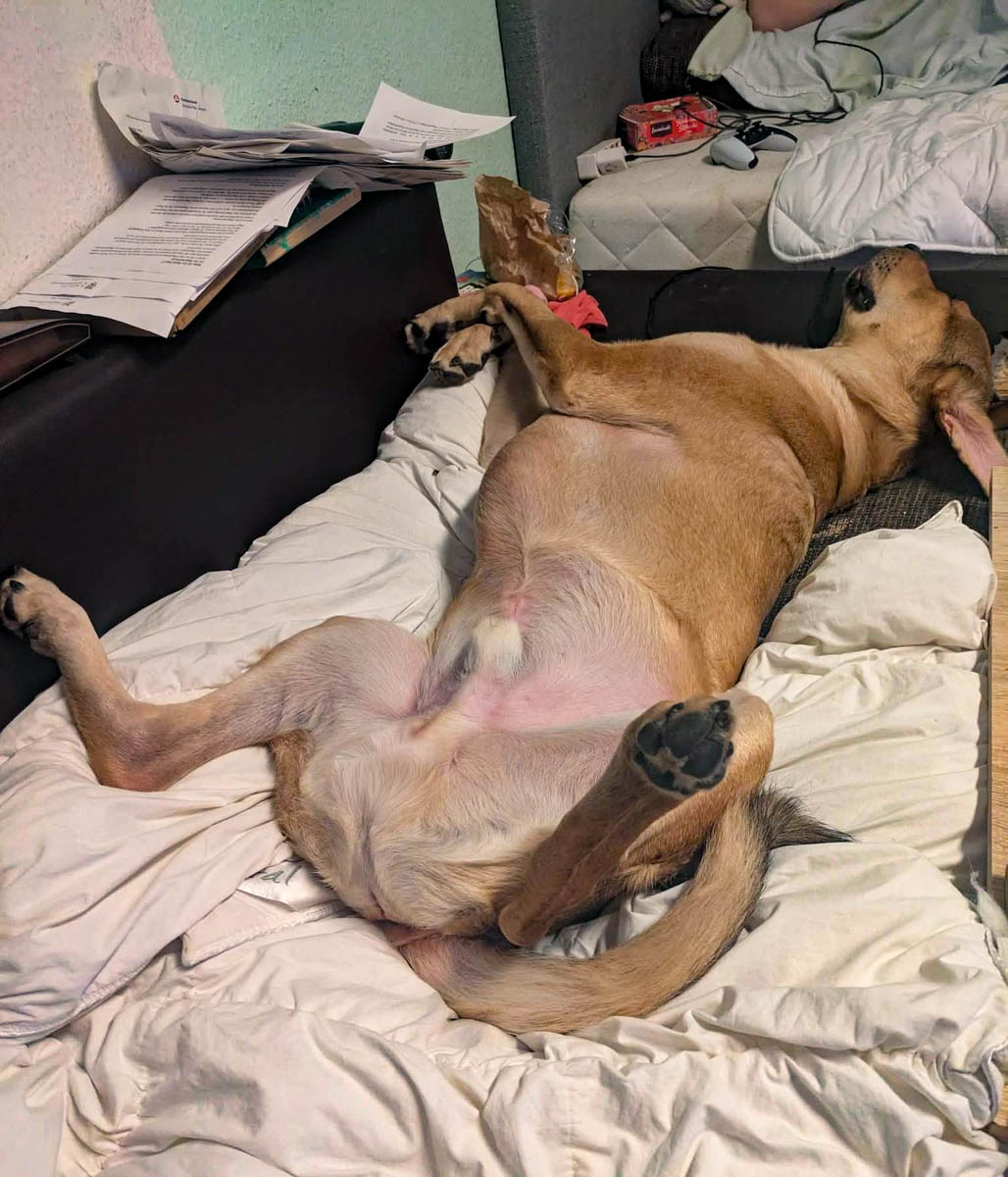 neue Fotos Februar 2026