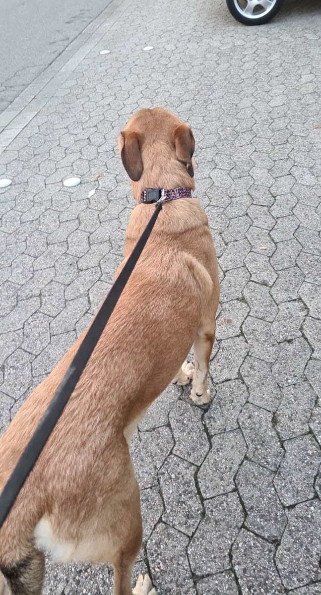 neue Fotos Februar 2026