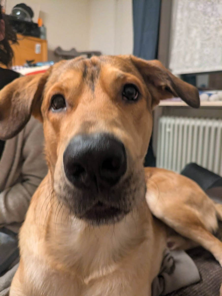 neue Fotos Februar 2026