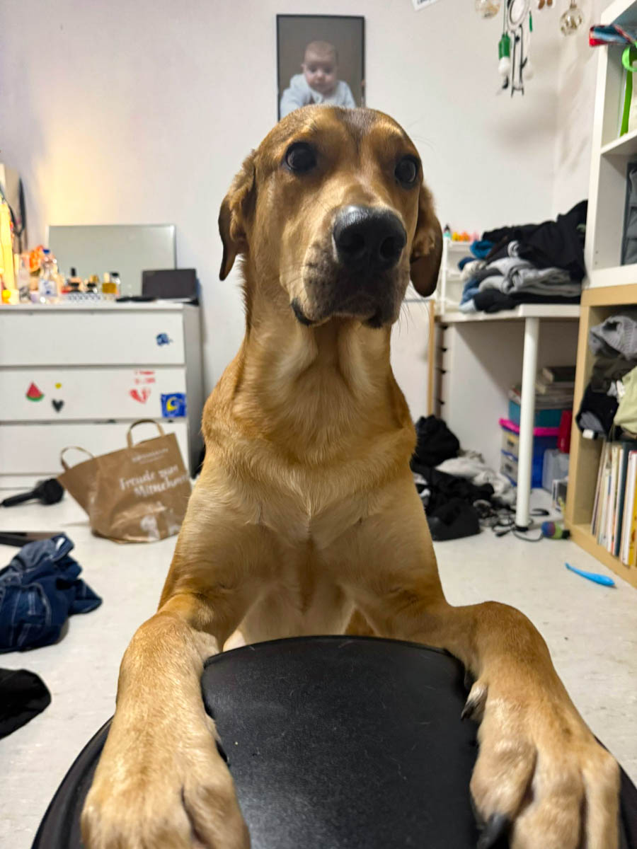 neue Fotos Februar 2026