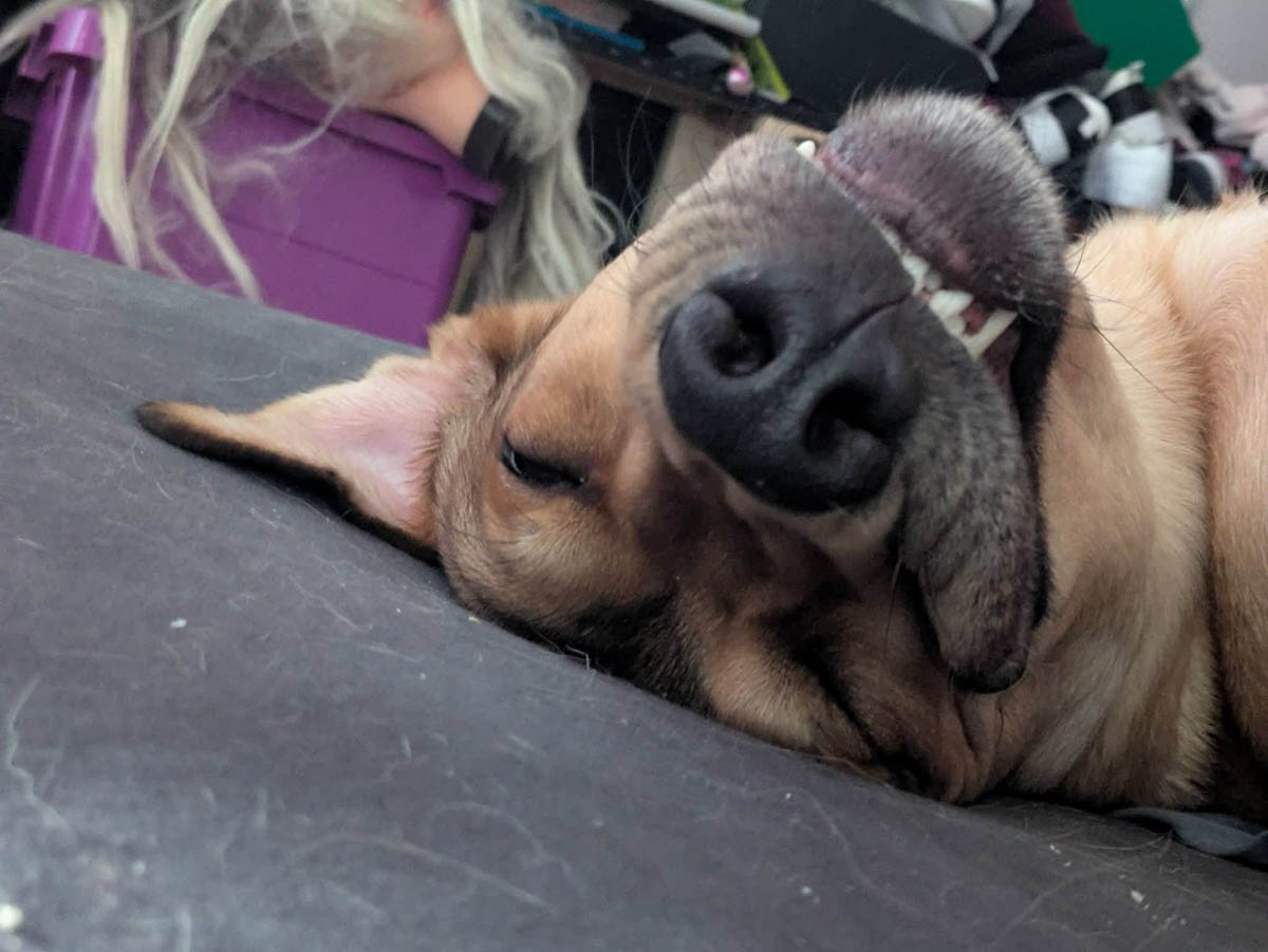 neue Fotos Februar 2026