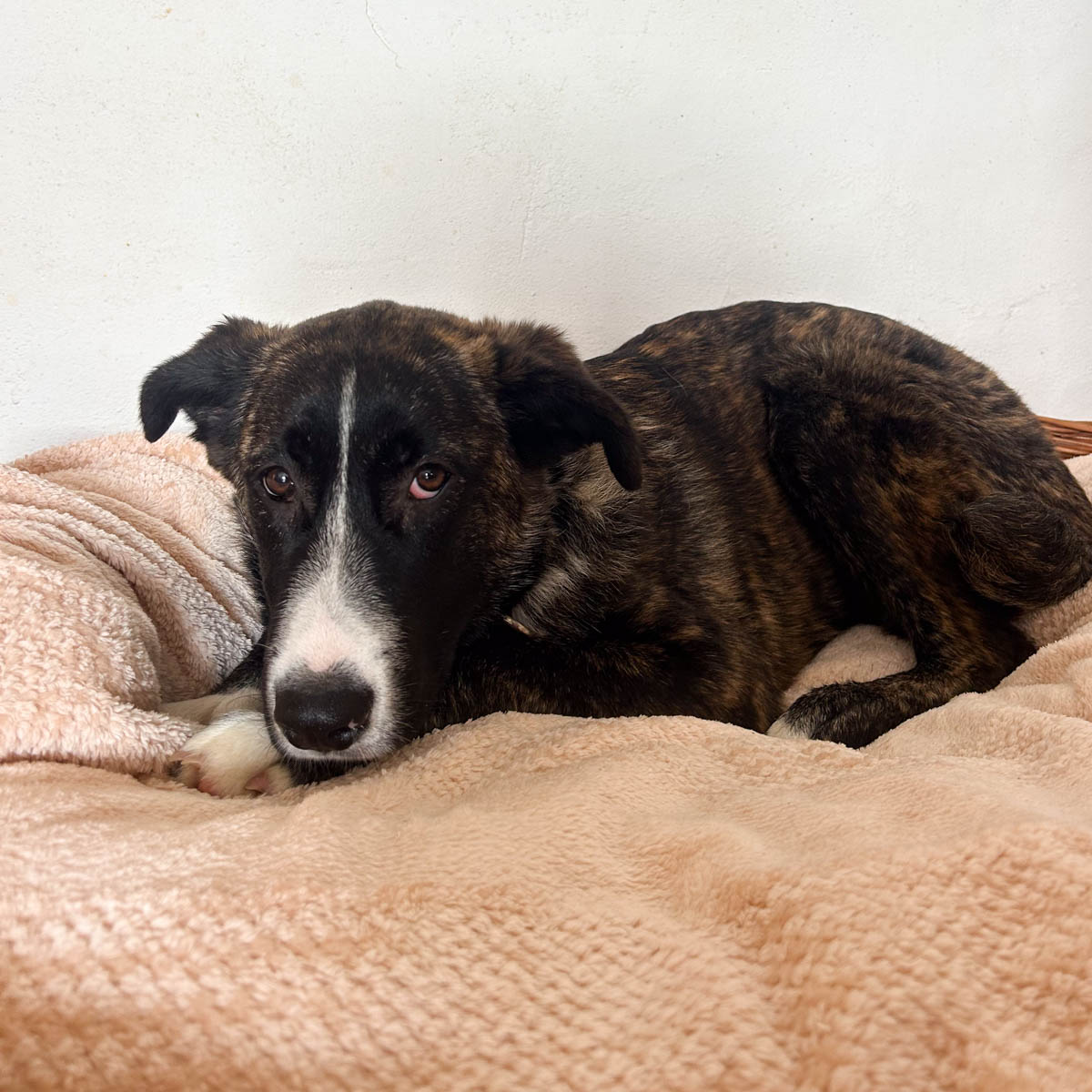 neue Fotos Februar 2026