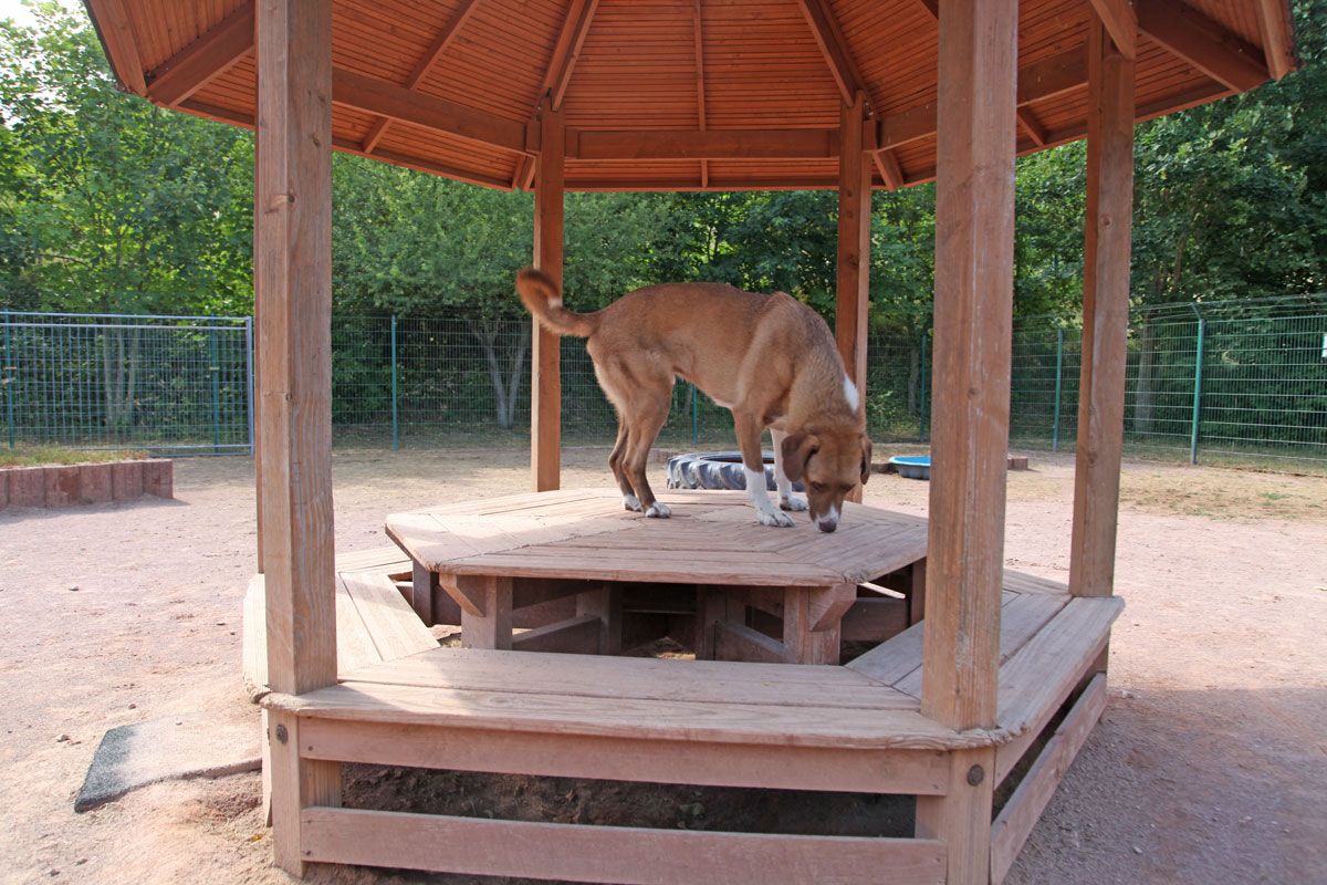 neues Foto Februar 2026