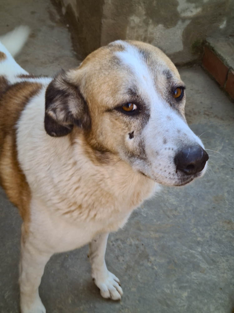 neues Foto Februar 2026