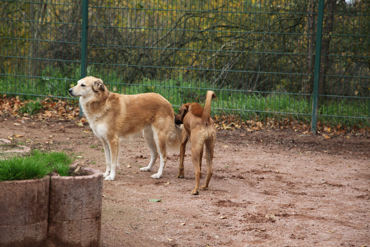 neues Foto Februar 2026