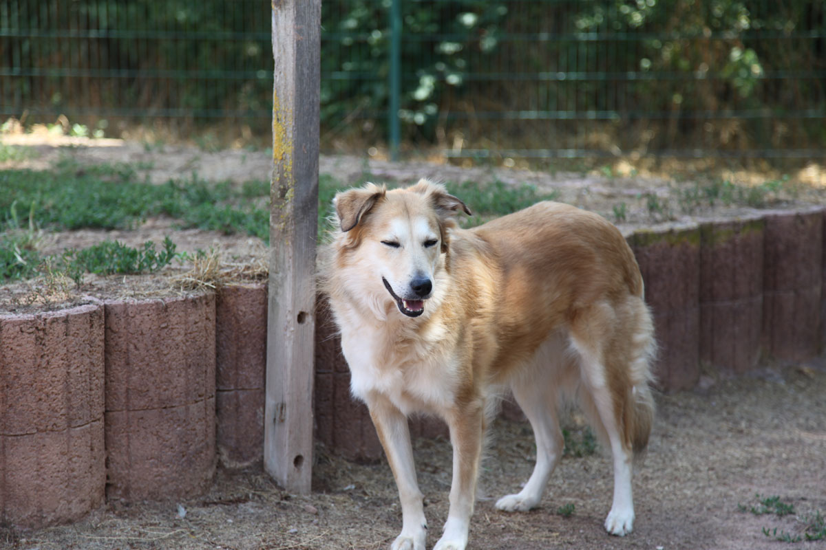 neues Foto Februar 2026