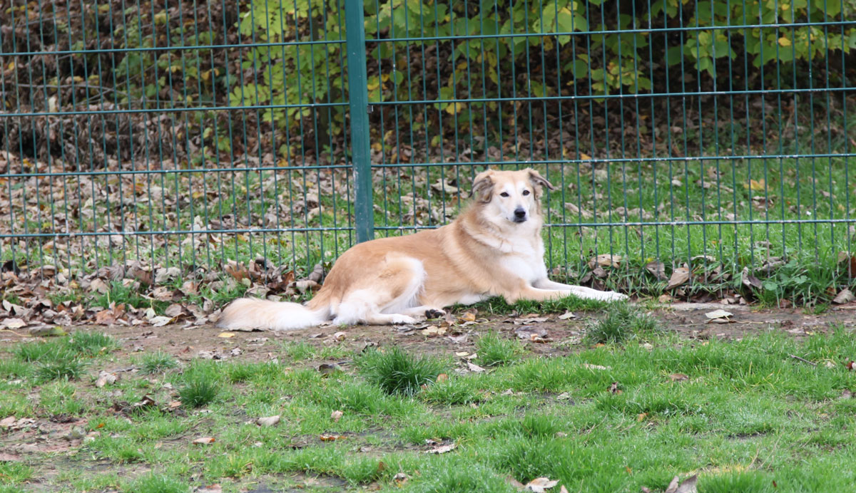 neues Foto Februar 2026