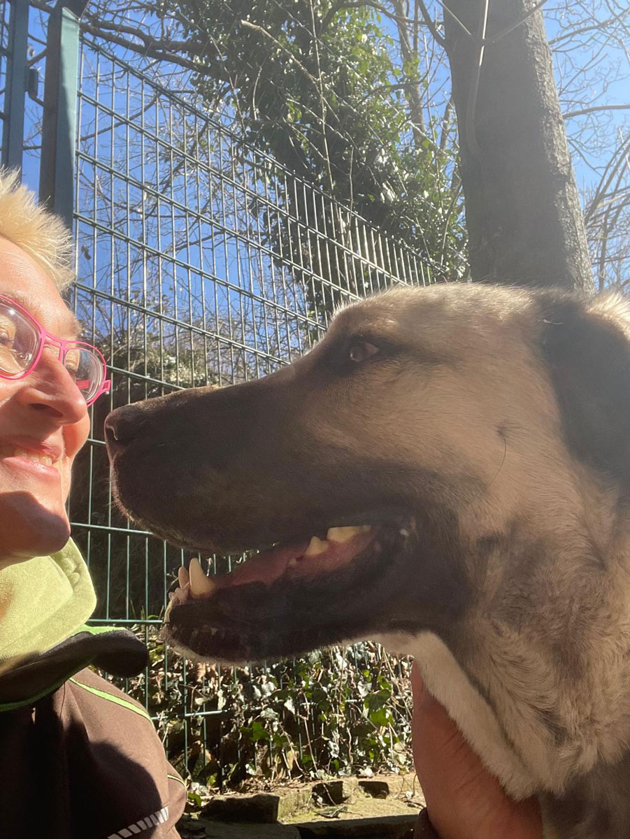 neues Foto Februar 2026