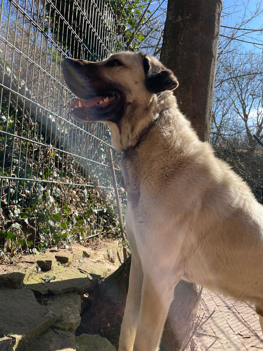 neues Foto Februar 2026