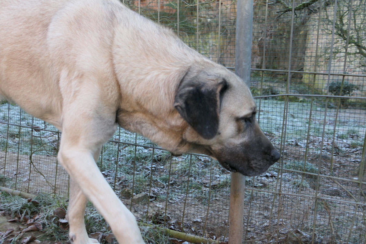 neues Foto Februar 2026