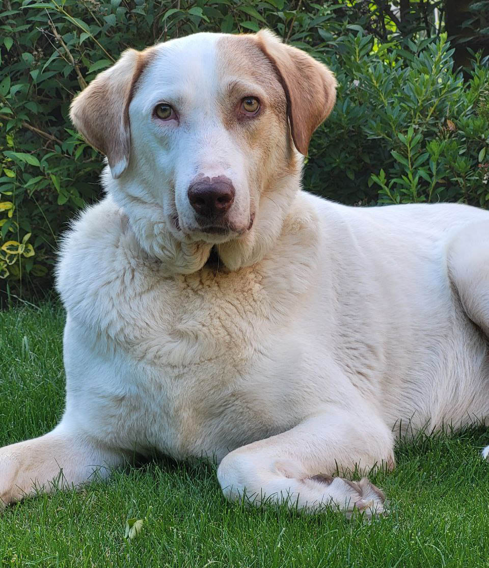 neue Fotos Februar 2026