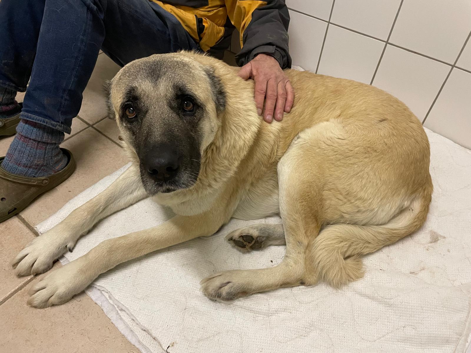 Burrito bei seiner Ankunft