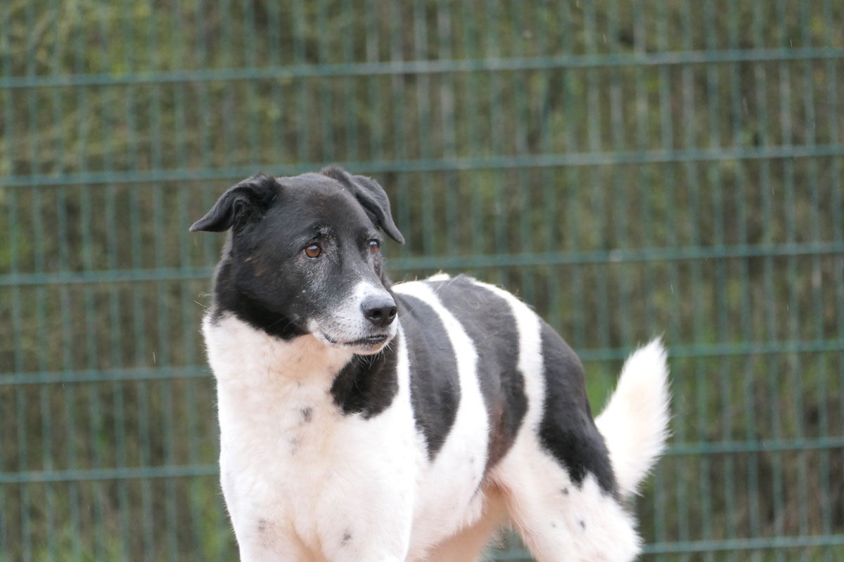 neues Foto Februar 2026