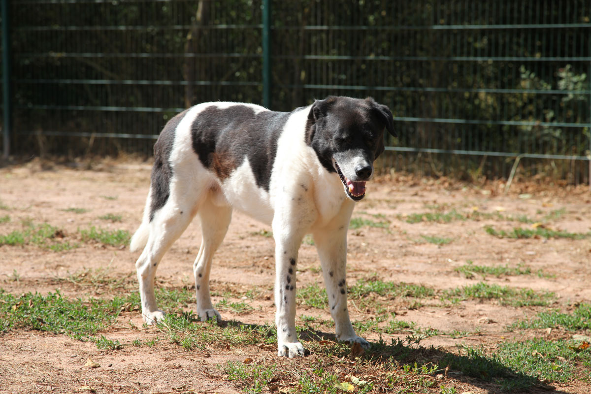 neues Foto Februar 2026