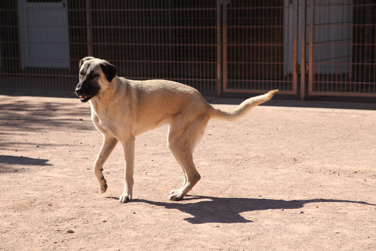 neues Foto Februar 2026