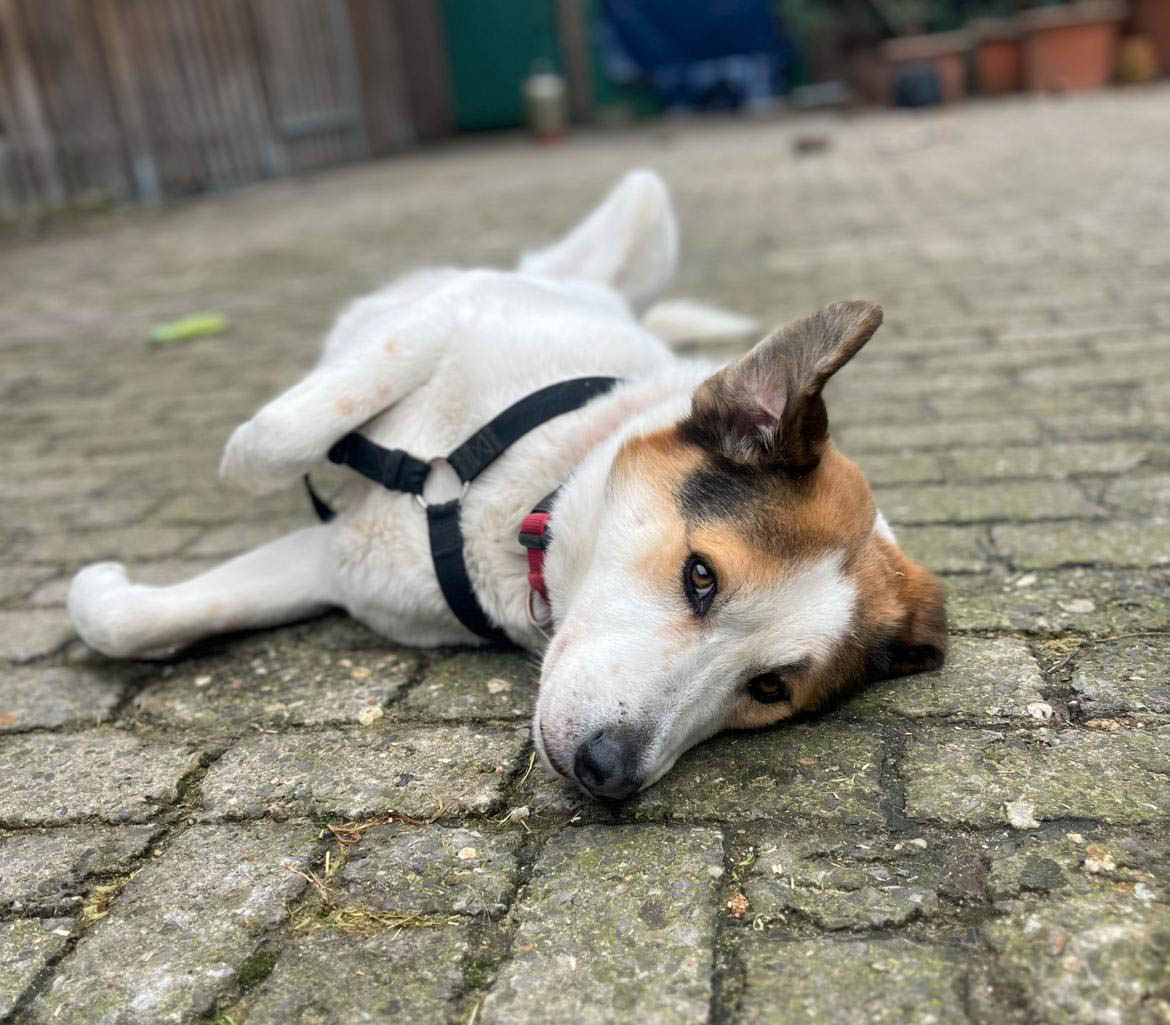 neue Fotos Februar 2026