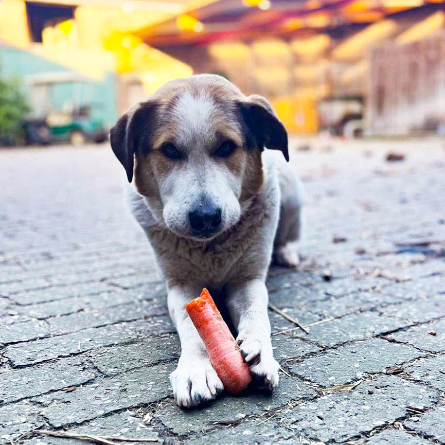 neue Fotos Februar 2026