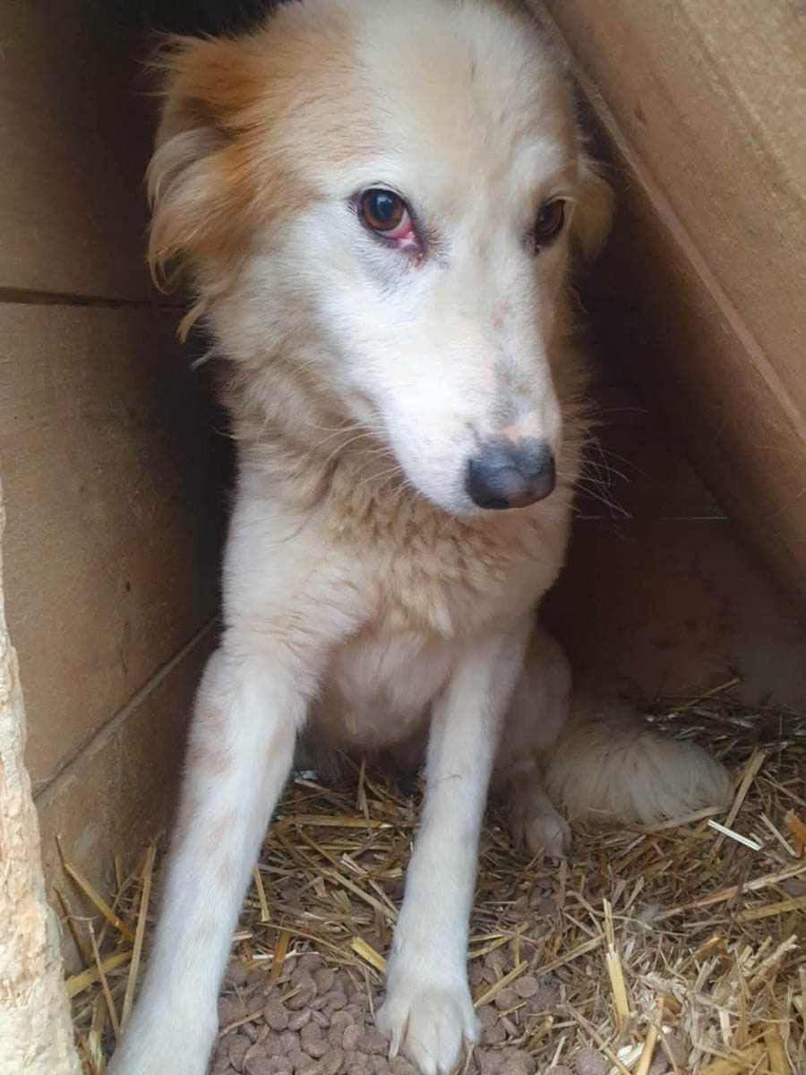 neues Foto Februar 2026