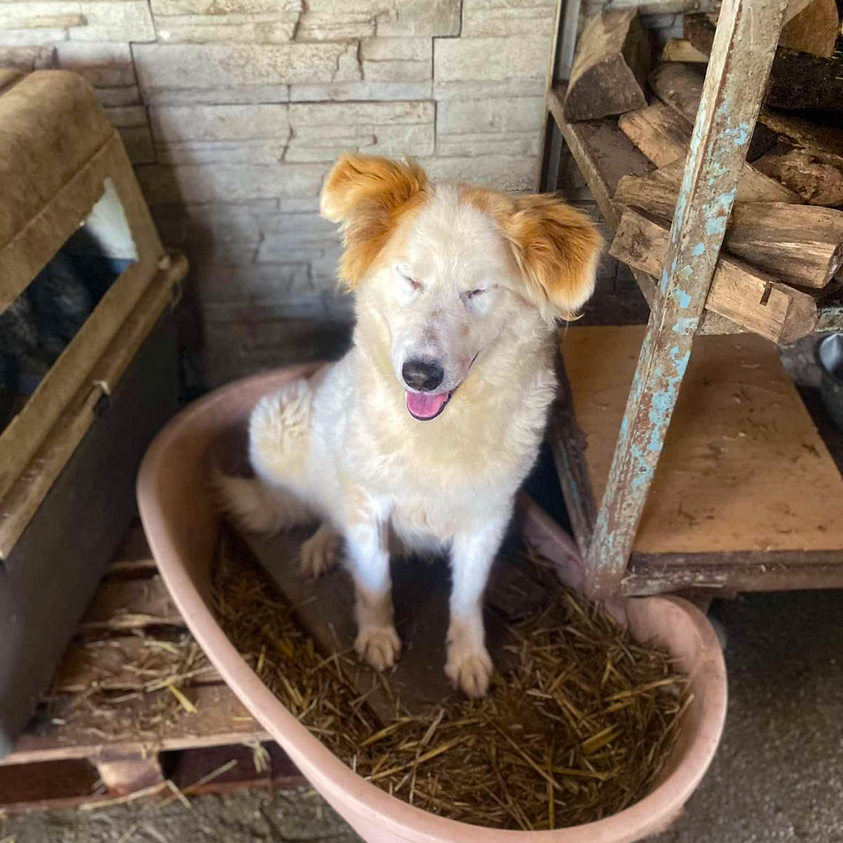 neues Foto Februar 2026