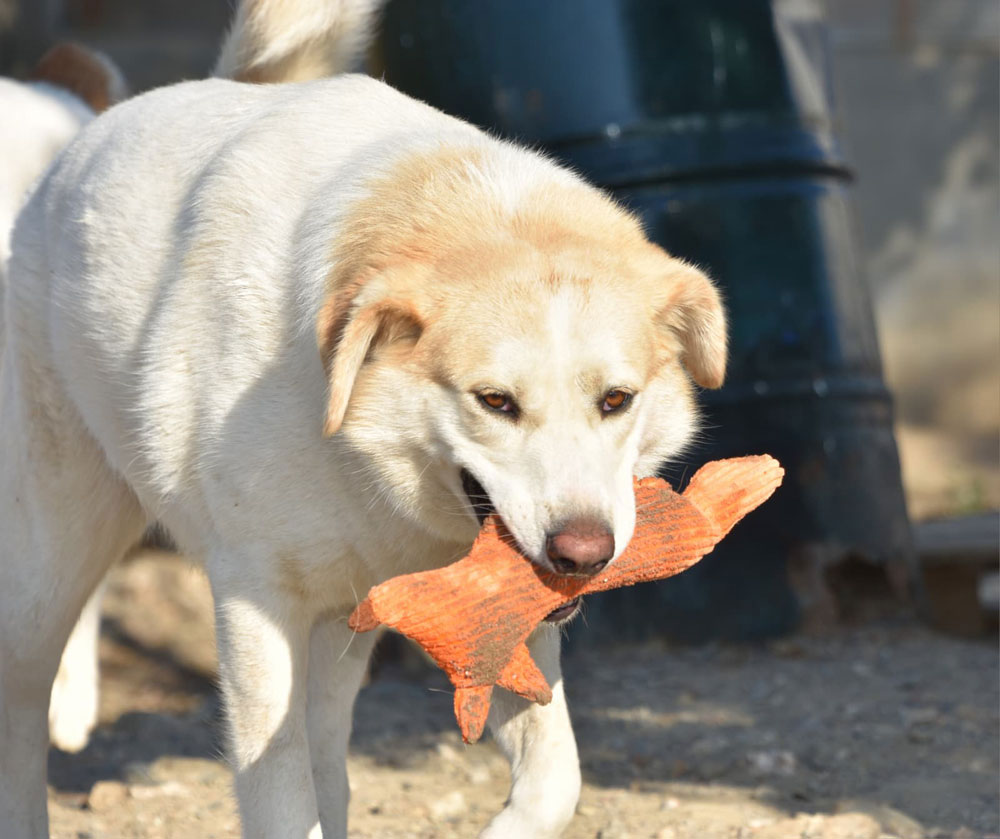 neues Foto Februar 2026